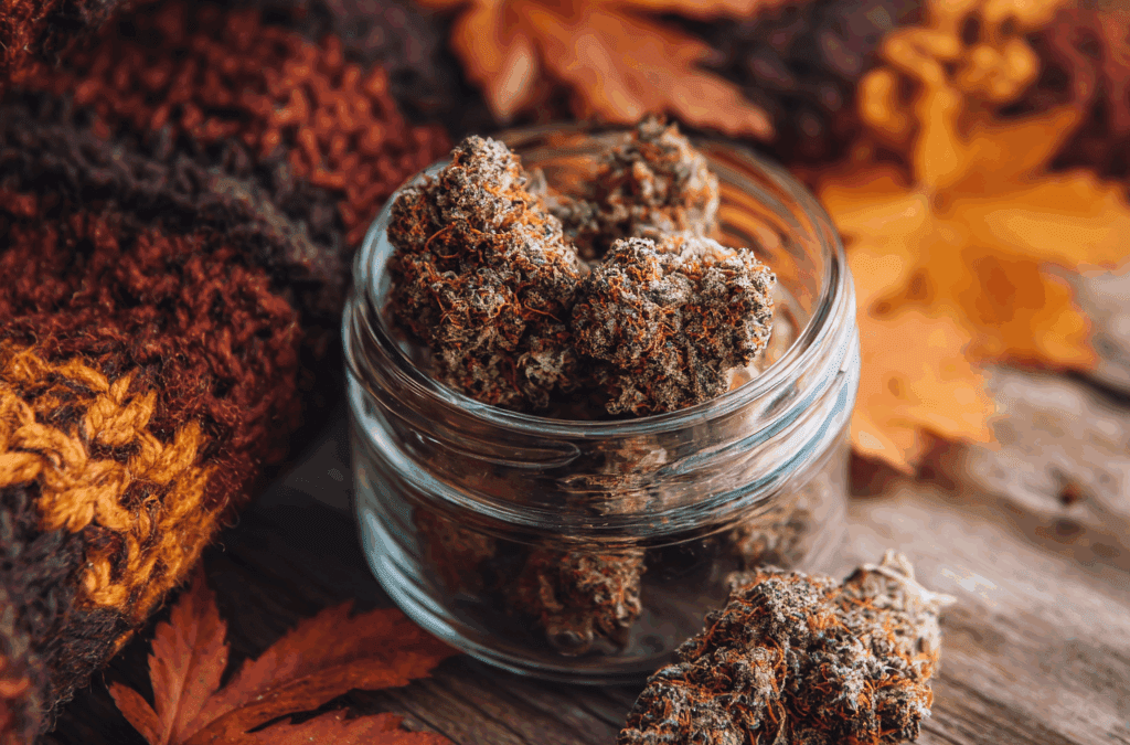 Fall Strain Guide: Cozy Cannabis Picks for Sweater Weather